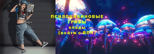 spice Надым