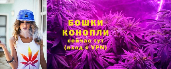spice Надым