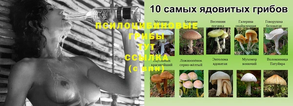 спиды Наволоки