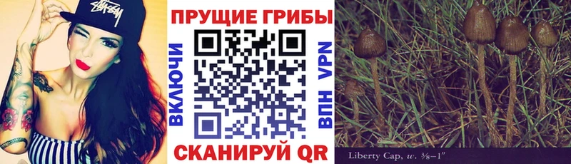 Псилоцибиновые грибы мицелий Артёмовский